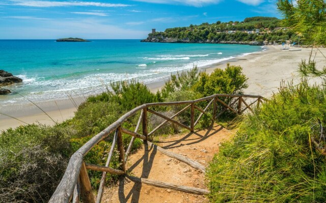 Ecolodge Selvitelle - Sustainable Retreat Amidst Olive Groves in Cilento