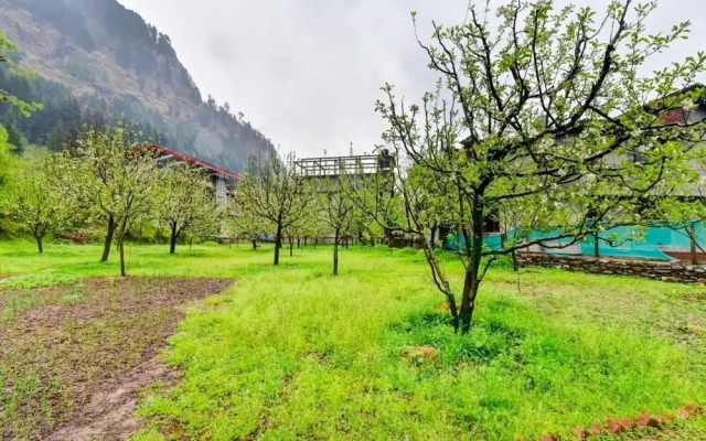 Rigzin Nest Cottage Manali