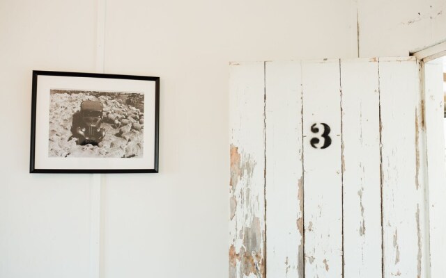 Mount William Station