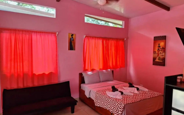 Caribbean Blue Morpho