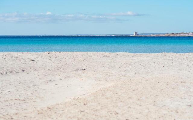 Il Carrubo del Salento