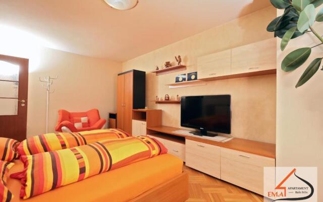 Apartament Ema Baile Felix
