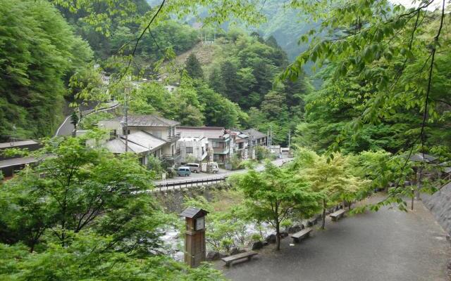 Umegashima Onsen Seiko Ryokan