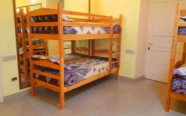Globus hostel &Tours