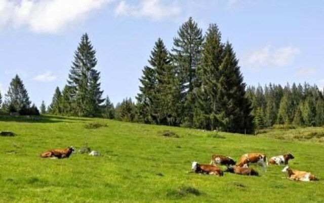 Ferienhaus Albmatte