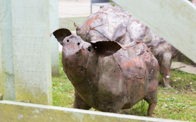 The Curious Pig in the Parlour