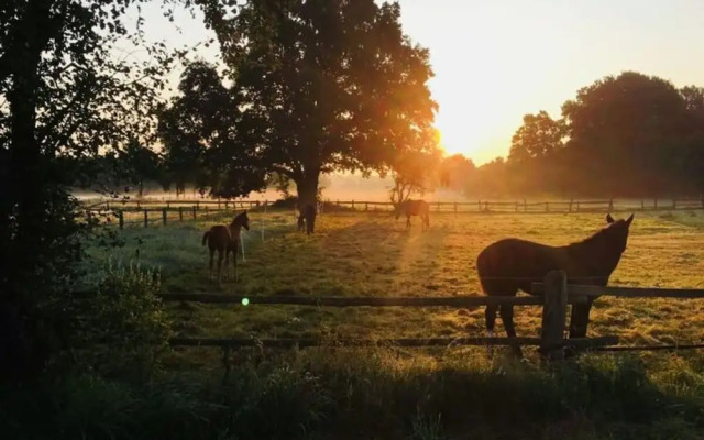 Apartment in Neustadt am Rubenberge