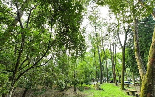 Chanshuo Forestville
