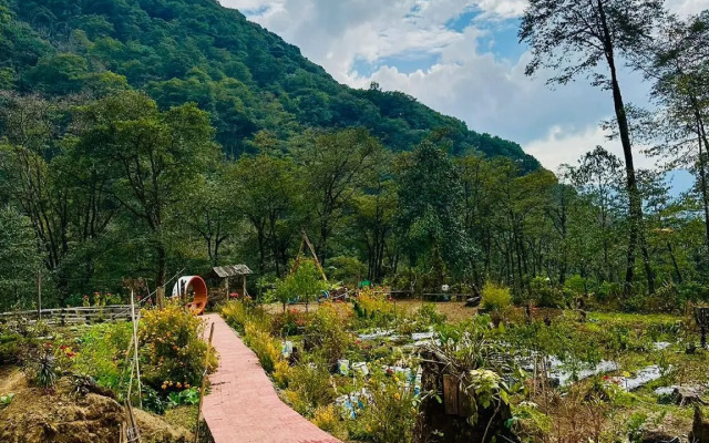 Limboo Homestay