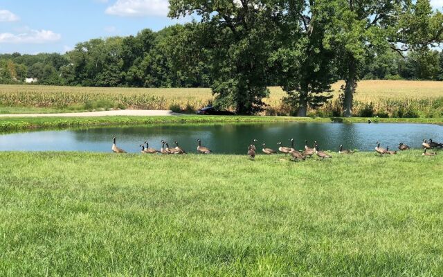 Baymont Inn And Suites Washington