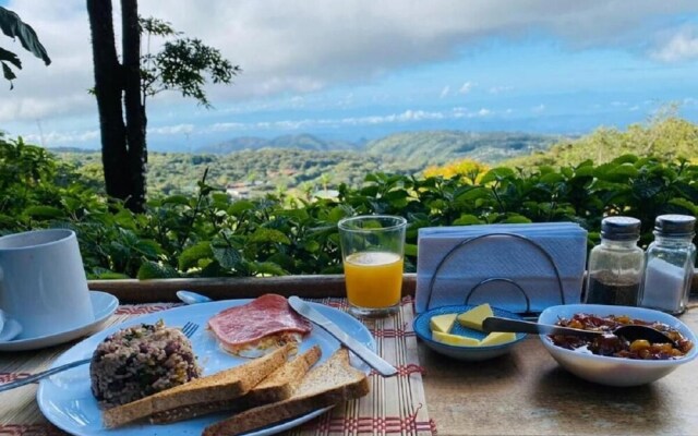 Hotel Flor de Bromelia