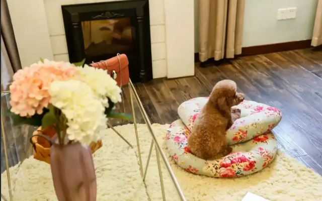 Zhijiansha No.3 Changle Road