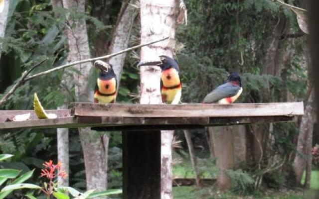 Macaw Bank Jungle Lodge