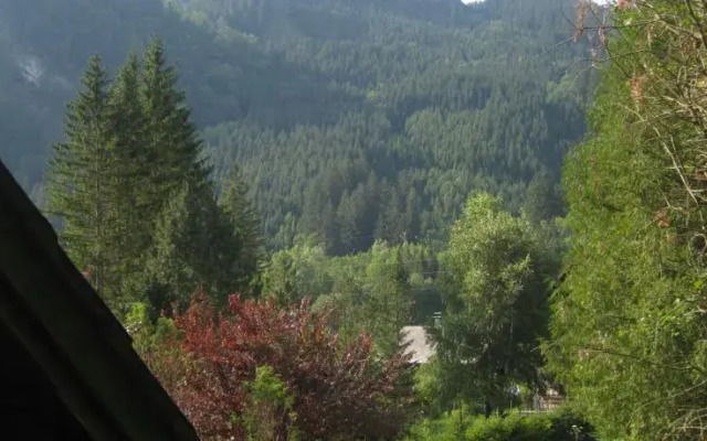 Ferienhaus Erlaufboden