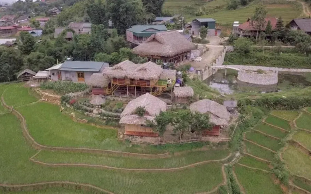 Golden Rice Garden Sapa