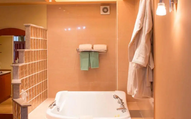 Hotel Drim
