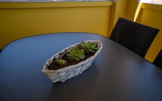Apartments Pavic