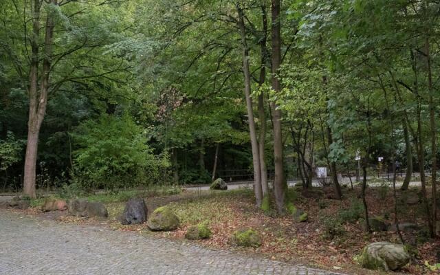 Ferienwohnung im Herzen Ilsenburgs