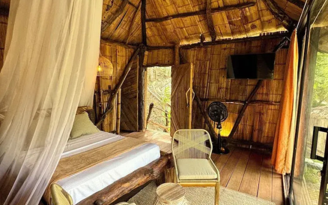 Akasha suites