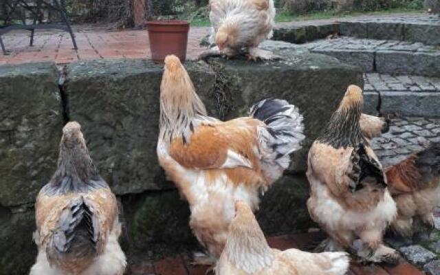 No.5 - Ferienwohnung Schkade