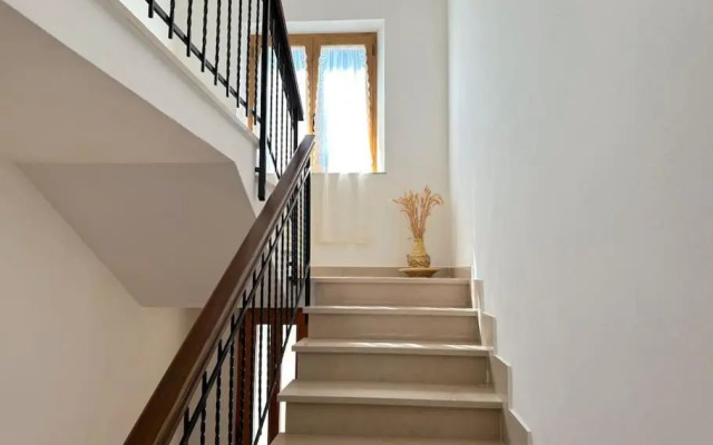 Le piccole Vigne (Vignine)