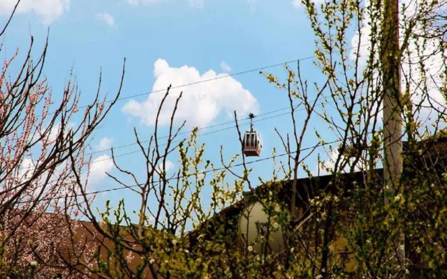 Feel Old Tbilisi