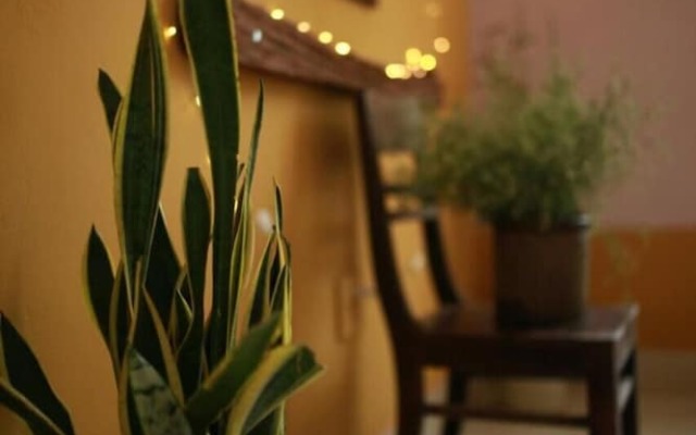 Mia's House - Hostel