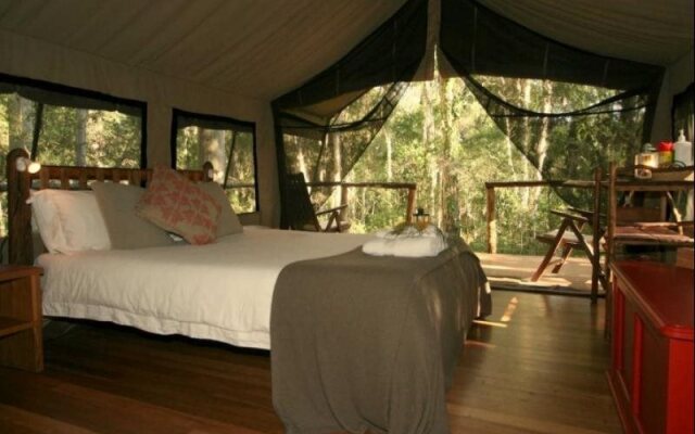 Paperbark Camp