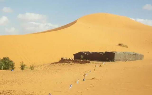 Nirvana Camel Treck