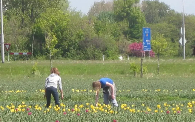 Bungalow in Eureka With Spacious Garden