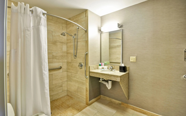 Holiday Inn Express Romulus / Detroit Airport by IHG