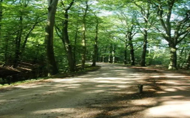 Rustic-chic Holiday Home