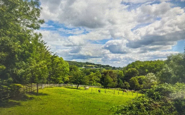 Beautiful 1-bed Secluded Cabin, With bar & Fire