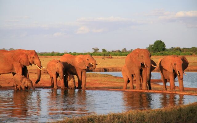 Voi Wildlife Lodge