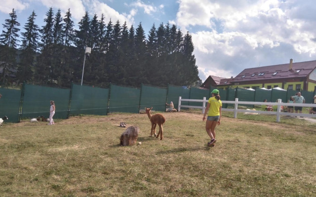 Donovaly Ad Kamzik Apartman 47