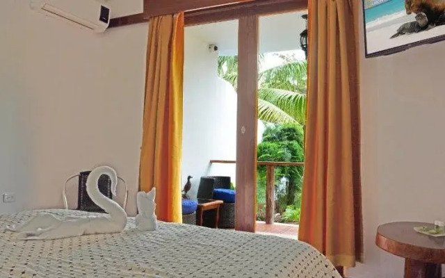 Lava House Hostal