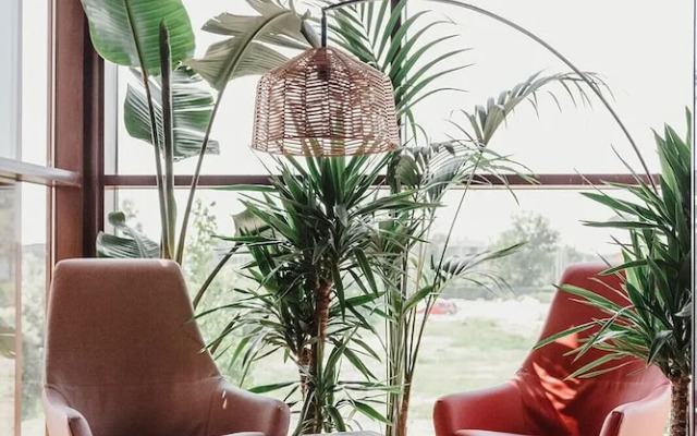 Villa Madrè San Rossore Apartments