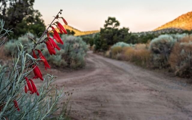 Bobcat Inn Bed and Breakfast