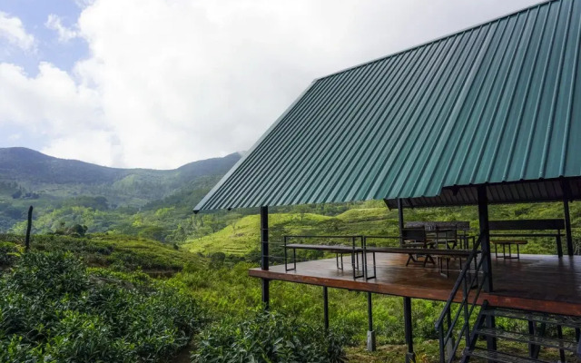 Wild Glamping Knuckles