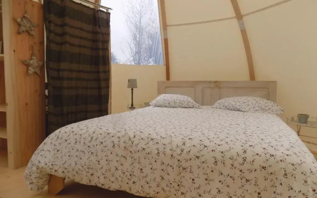 La chouette étoilée