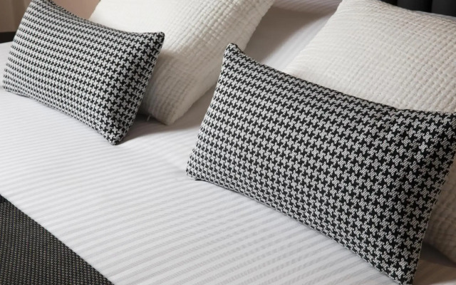 Hotel Diana Dauphine