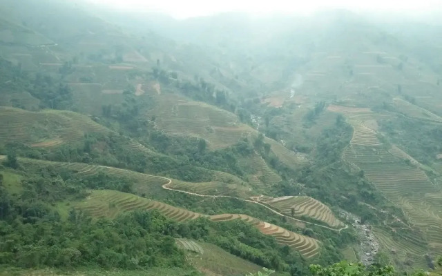 A De Homestay - Hostel