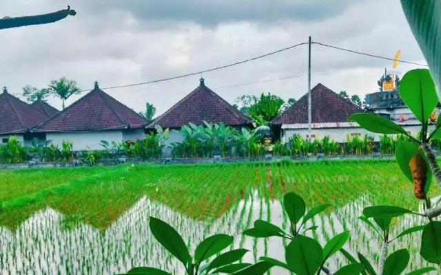 Srijaya Ubud