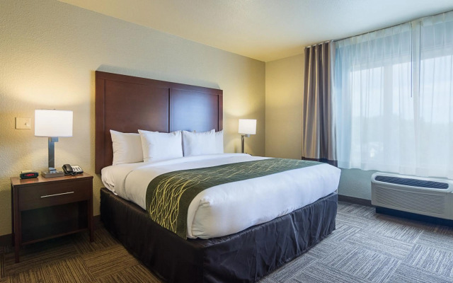 Comfort Inn Bentonville - Crystal Bridges