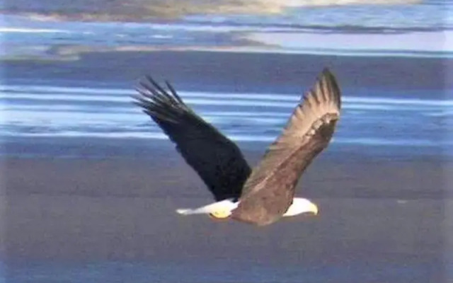 Chautauqua Resort & Conference Center