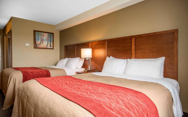 Comfort Inn & Suites