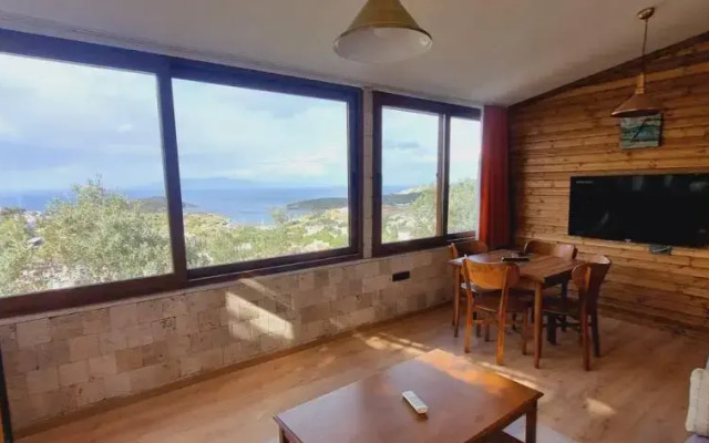 Sole Foça