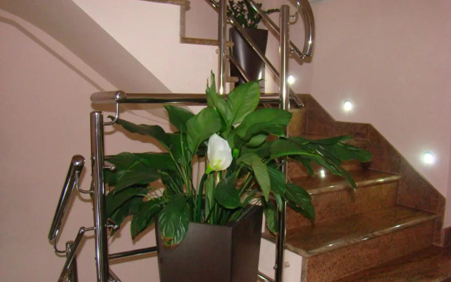 Apartments Ledic