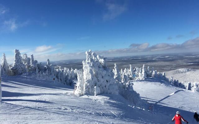 À Tout Venant B&B et Massothérapie
