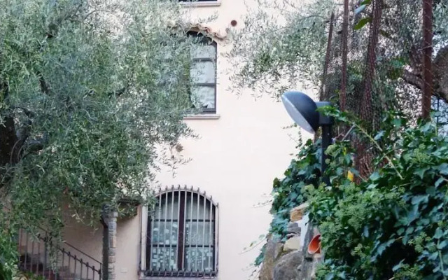 Appartamento Mimosa